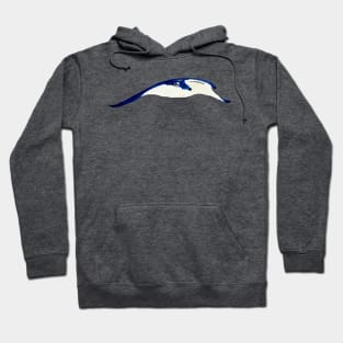 manta ray num2 Hoodie